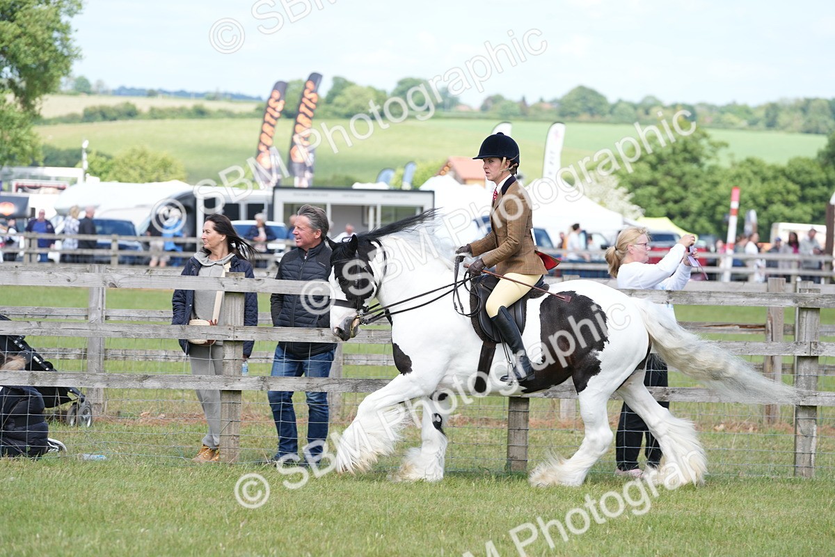 SBM_17155 - Class 107-108 - LIHS BSPS Performance Coloured Horse Pony