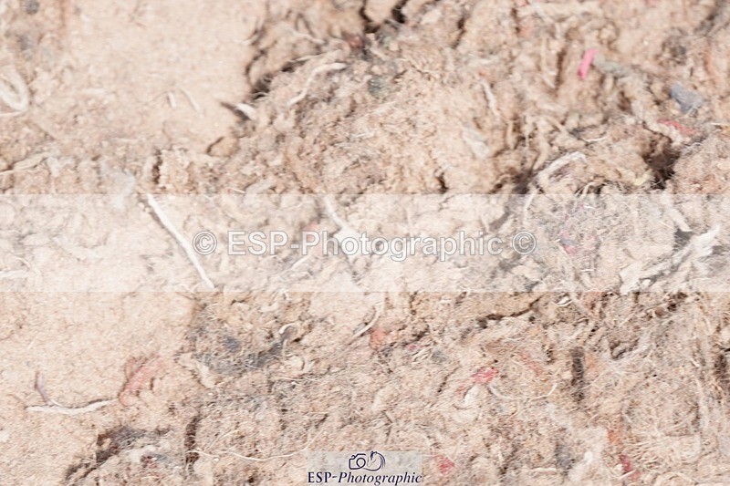 250503-124636-01128 - Cls 25 Club 1m