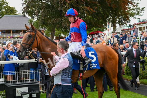 220824-Race 4-Content-6984 - Race 4 3.35pm Pertemps Network Yorkshire Oaks