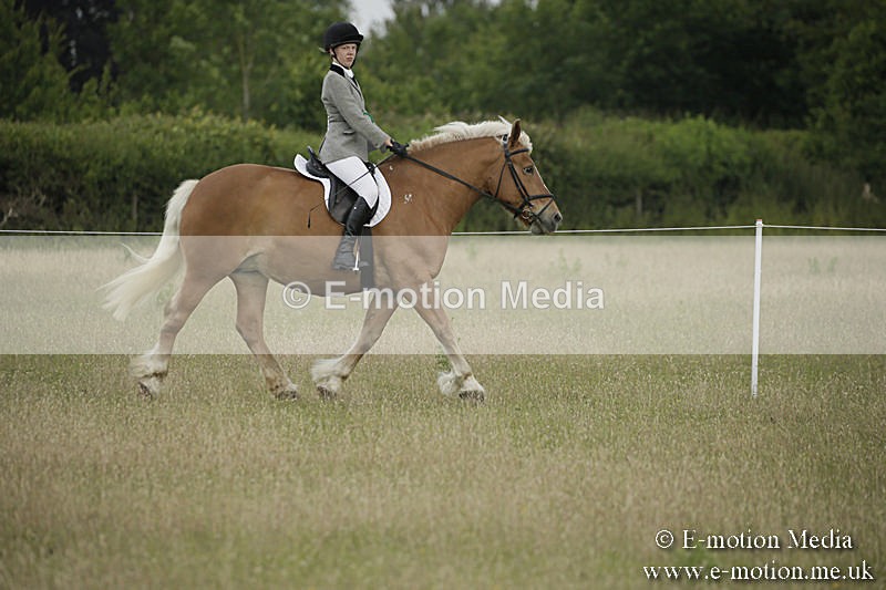 B230619-0208 - Bourne Valley Riding Club Summer Show 23/06/19
