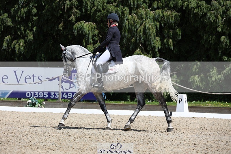 230526-133252-06345 - 366-KILMINGTON_FOLLY-Kristina_Cook-WEDTrotUp+DR