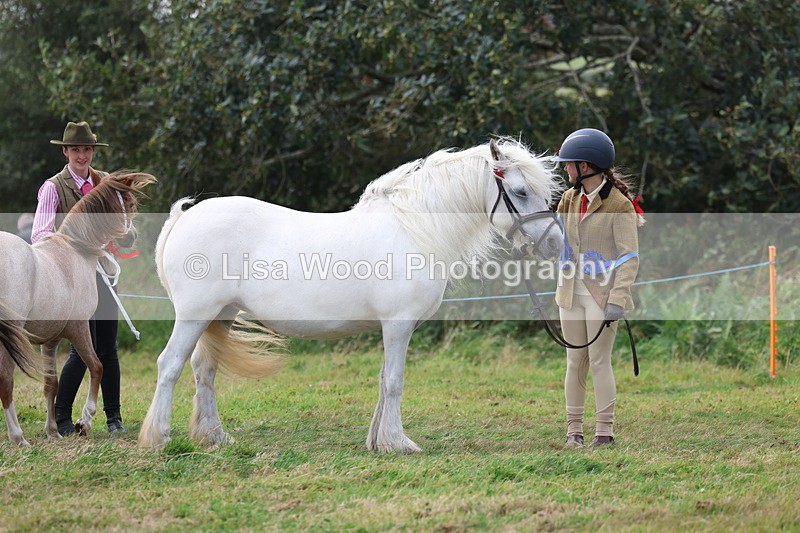 3E7A5623 - In Hand Championship