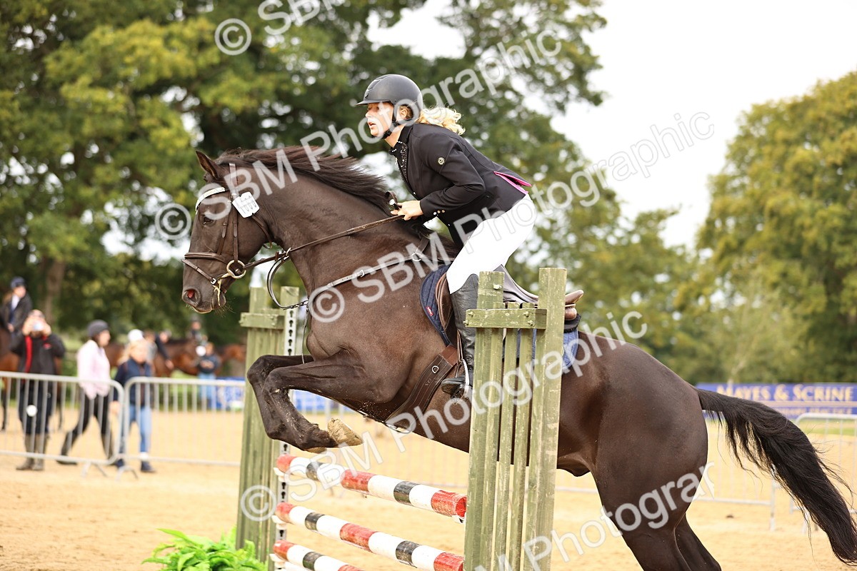 SBM_58483 - J41 - Grand Tour Horse & Pony 95cm