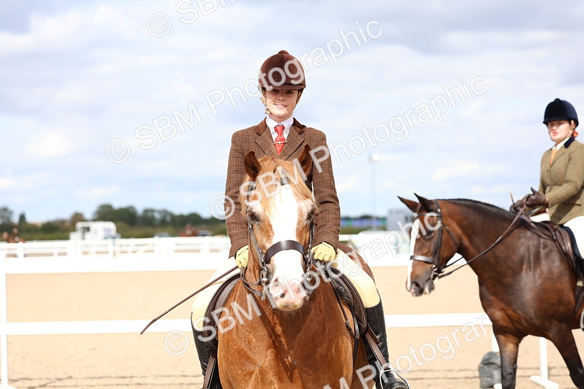 SBM_15827 - Class 314 - Family Horse - Pony