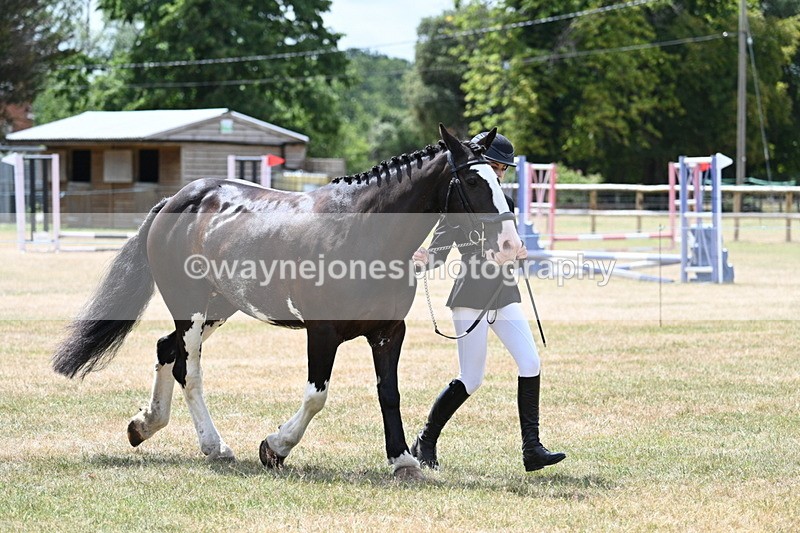 WJ7_1934 - Class 4a Prettiest Mare 14.2hh and over hand
