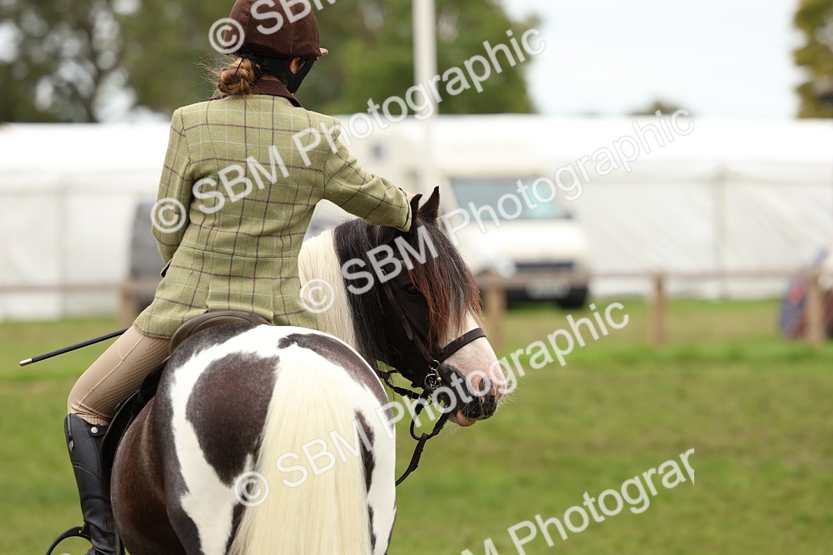 SBM_64650 - S58 - Coloured Pony Ridden