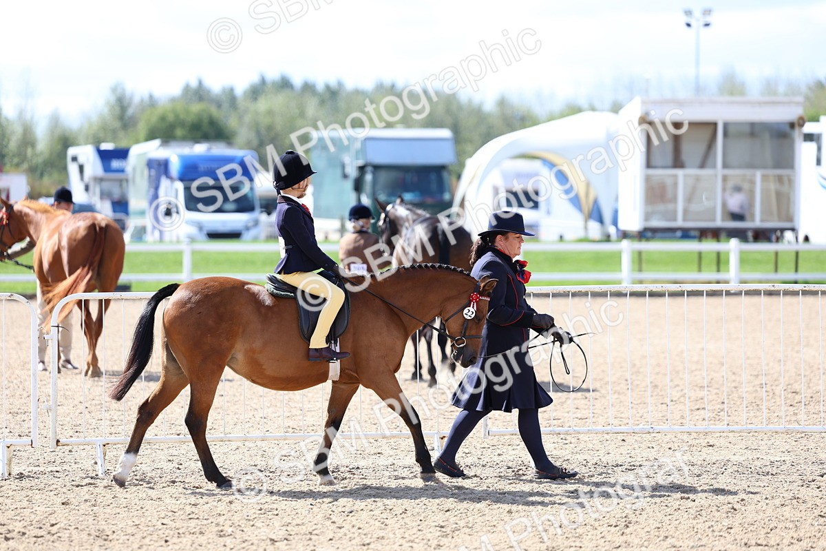 SBM_13010 - Class 309 - Lead Rein Pony