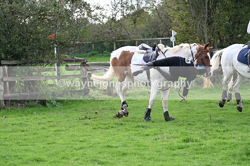 WJ7_8281 - Time 12:12 to 12:37