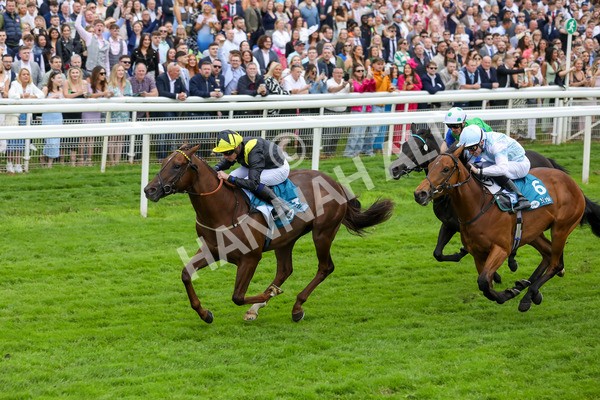 250524-Race 2-Arabie-3023 - Race 2 2.10pm Reg Bond 'Always And Forever' EBF Restricted Novice Stakes