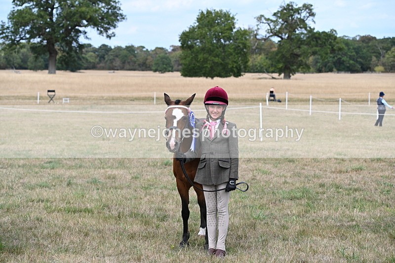 WJ6_6282 - Class 19 In-hand Veterans (Uploaded correct folder)