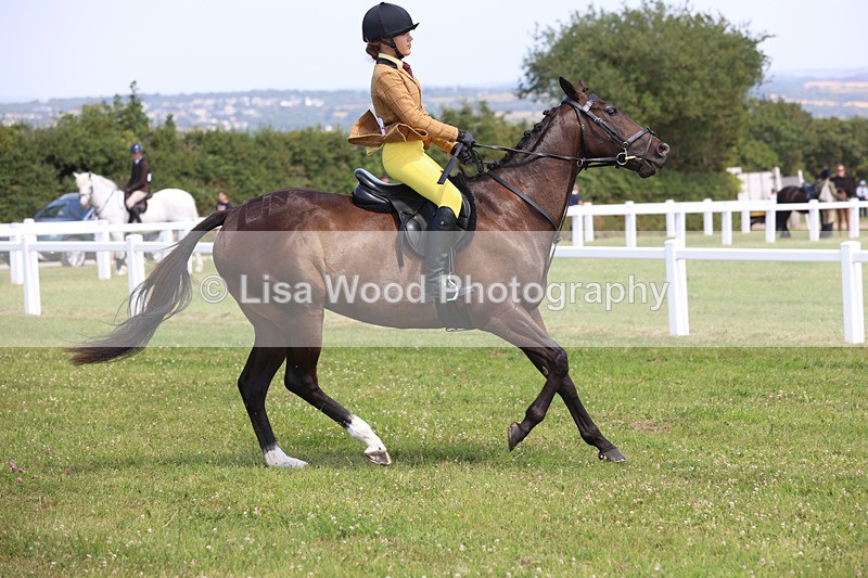 JPP_3247 - Class 22: Working Hunter 70cm
