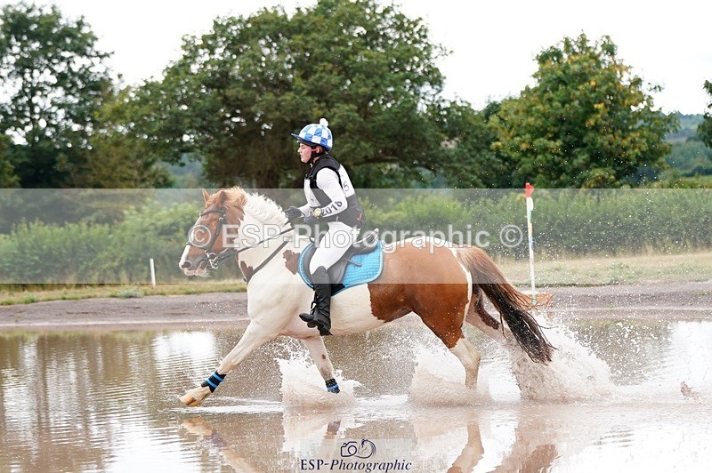 250803A-114648-11551 - L-524-Jacky.Jones-I.FOUND.NEMO