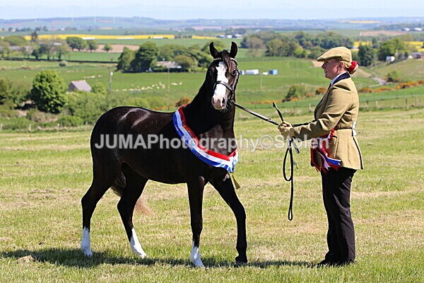 SIAL0450 - Indoor Classes