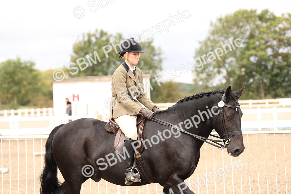 SBM_02766 - Class 53 - Ridden Competition Horse/Pony