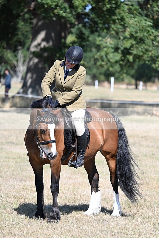 WJ7_4144 - Class 9 Mountain & Moorland Ridden