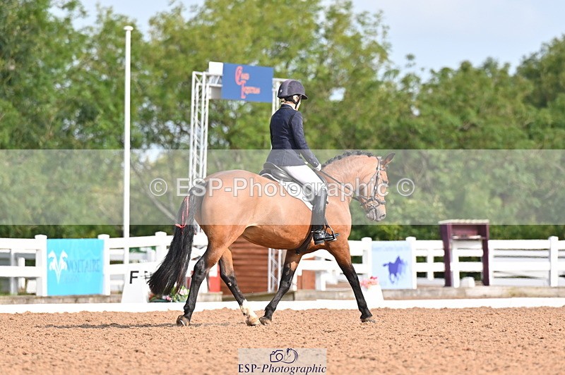 240817A-095203-06749 - 197-Karen.Martin-Furzeylodge.Weatherwax