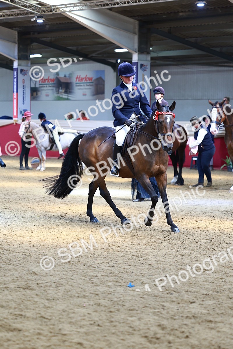 SBM_23963 - Class 905 - Supreme Final - Ridden Veteran