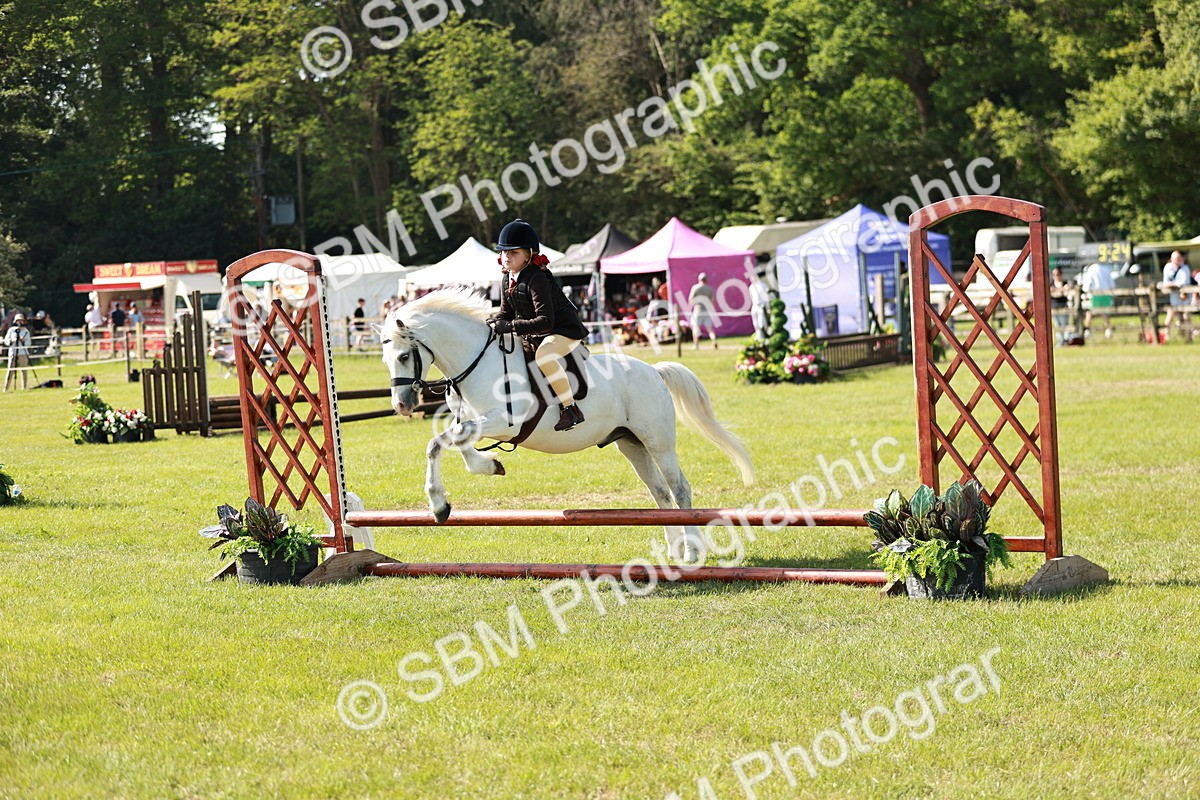 SBM_12627 - Class 106-107 - BSPS LIHS Working Sports Pony