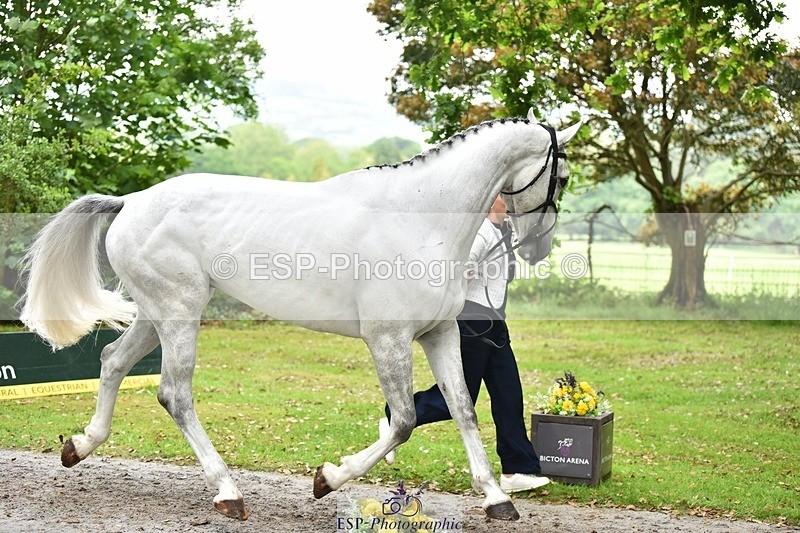 240522-172528-01602 - 286-ZIROCCO_VAN_DE_EIJKHOF_Z-Megan_Sanders