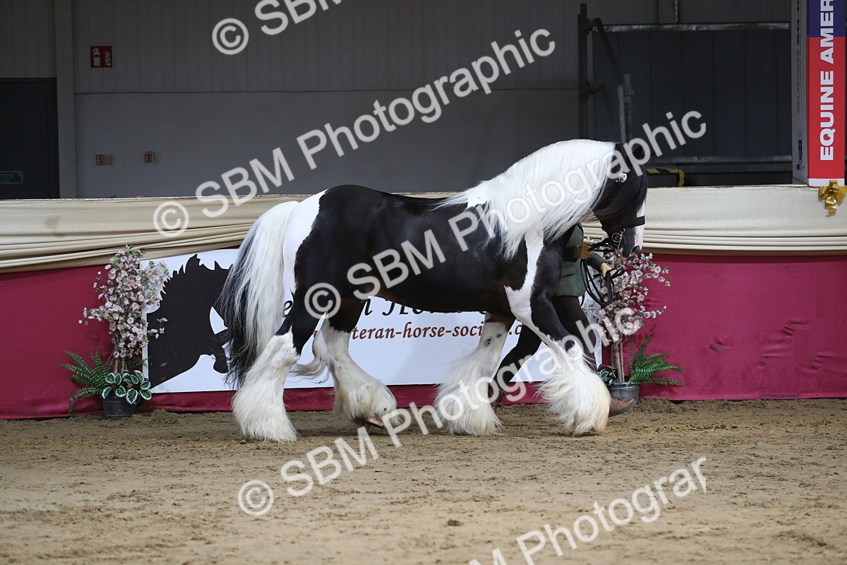 SBM_06538 - Regional IH Champ