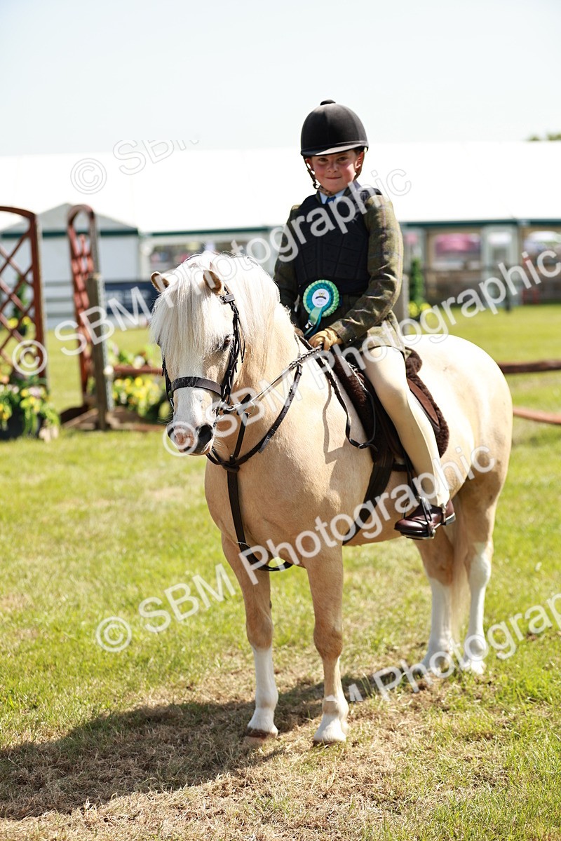 SBM_12818 - Class 106-107 - BSPS LIHS Working Sports Pony
