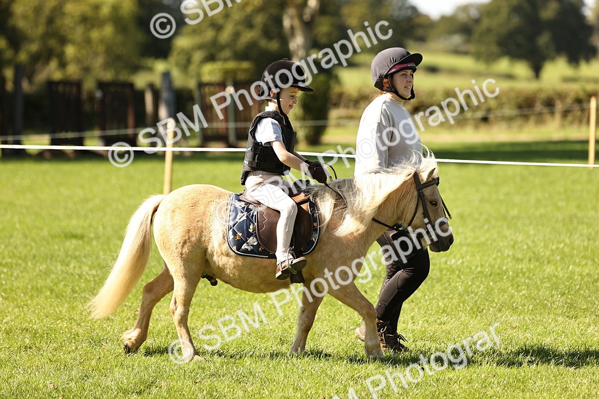 SBM_19205 - S3 - TSR Ridden Pony Showing
