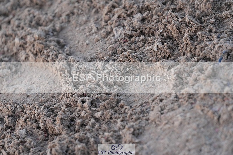 251130-144112-02358 - Cls 31 Stepping Stones
