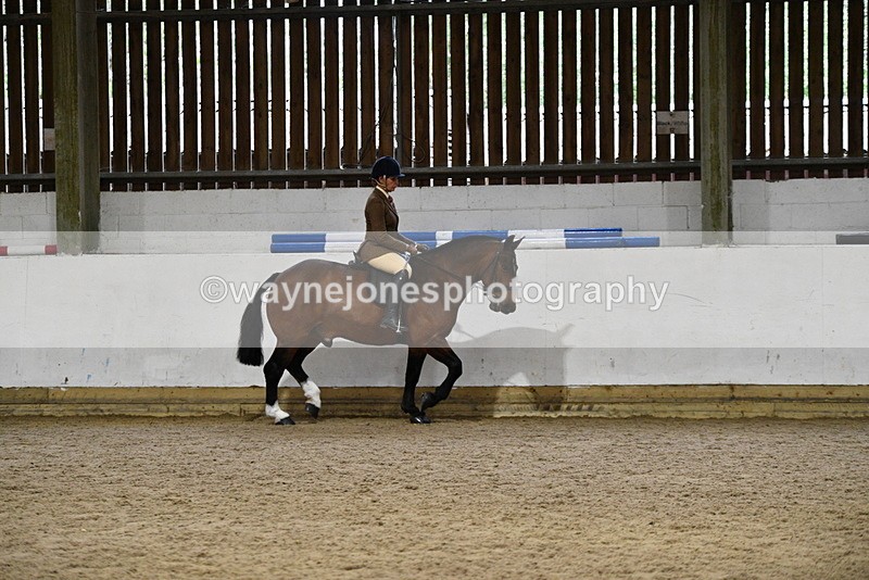 WJ5_8456 - Class 14 Novice Ridden/Rider