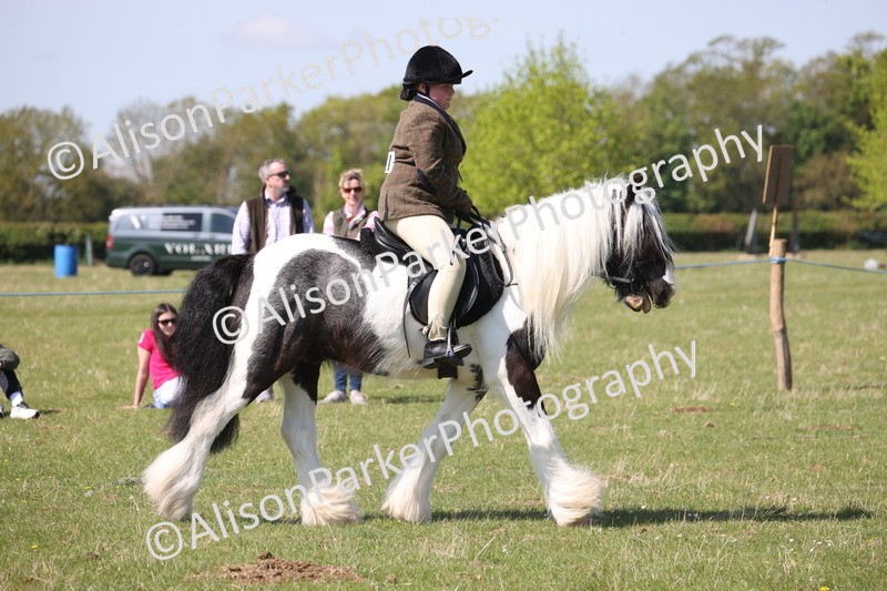 20250427-3189 - Class 33 - Best Pony 14.2hh and Under