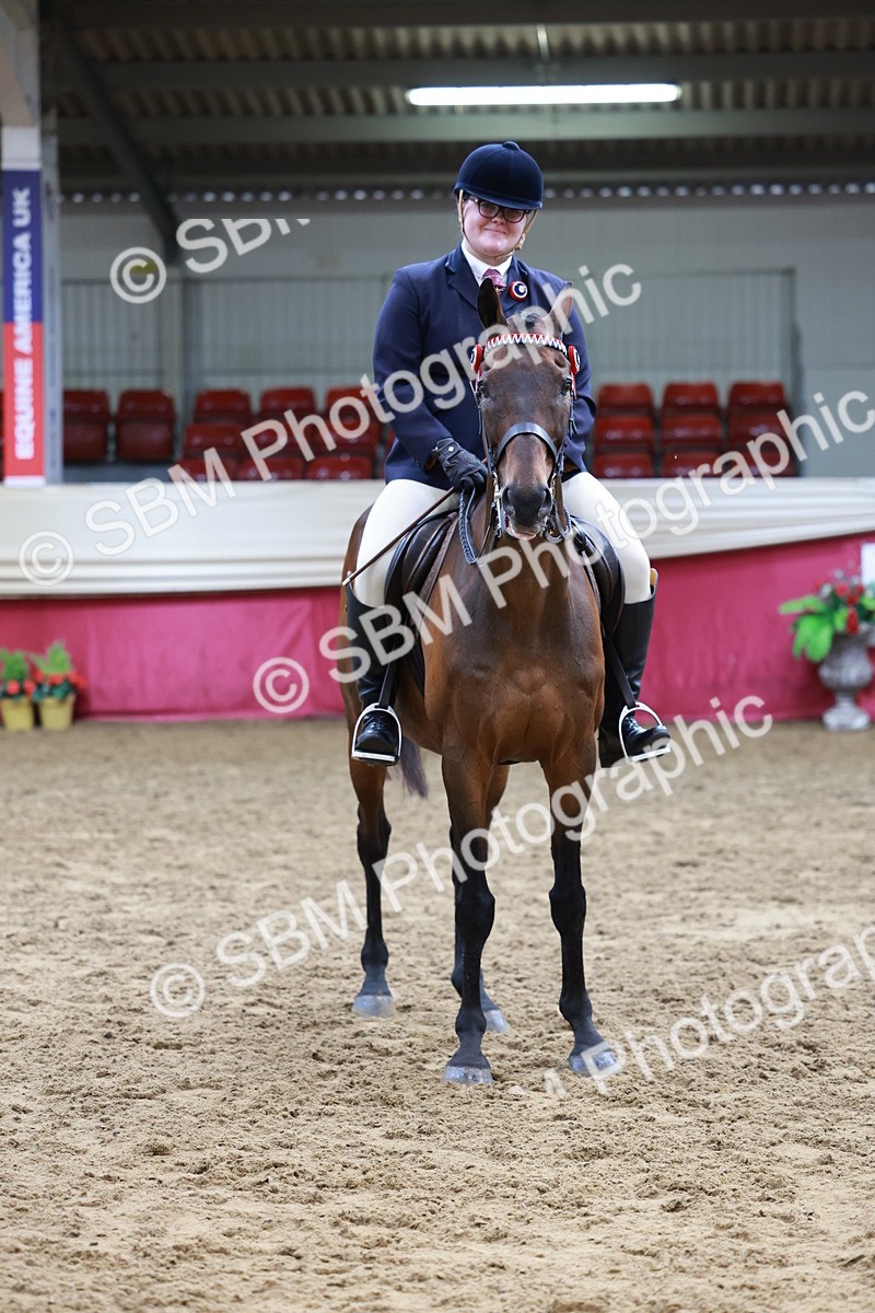 SBM_14991 - Class 108 - Ridden Retired Racehorse