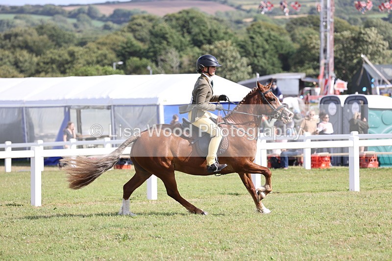 JPP_2766 - Class 20: Working Hunter 70cm