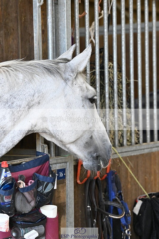 250821B-141318-00498 - Stable Shots and Group Photo