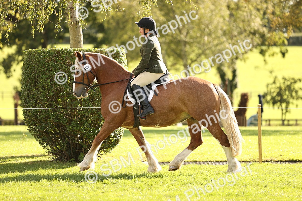 SBM_26405 - S6 - Novice & Newcomers Ridden Horse