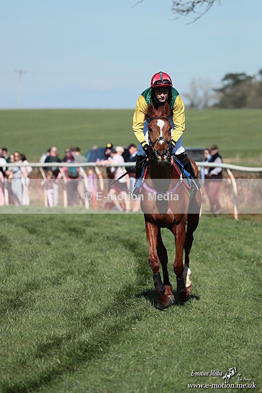 PtP 210326 130 - VWH Cirencester Races 21/03/26