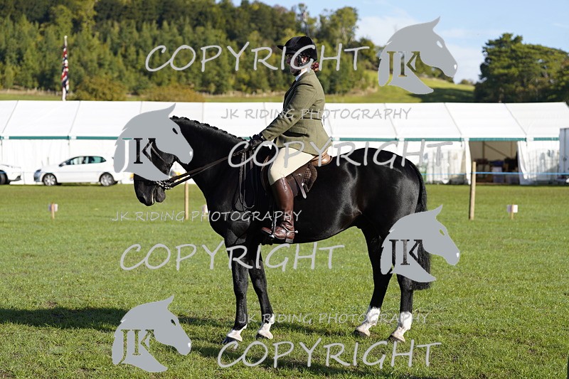 _DSC9433 - Class 8 & 17 Ridden Hunter & Ridden Hunter Pony