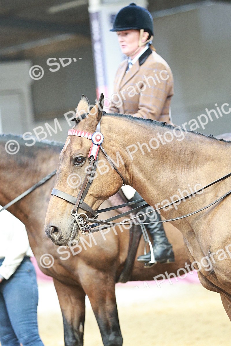 SBM_07050 - Class 10R - Regional Ridden Diamond