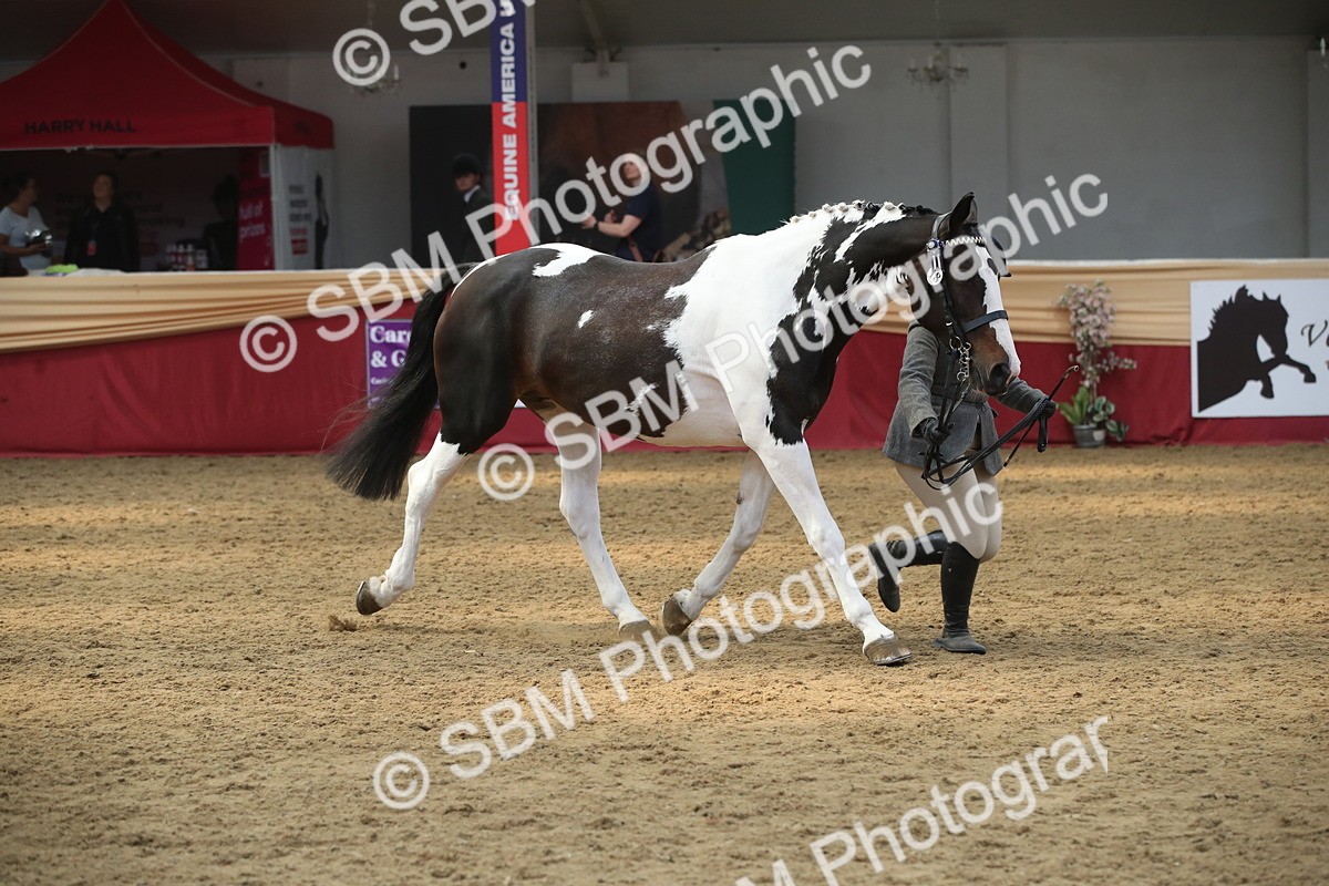 SBM_05638 - Class 9R - Regional IH Pre-Vet