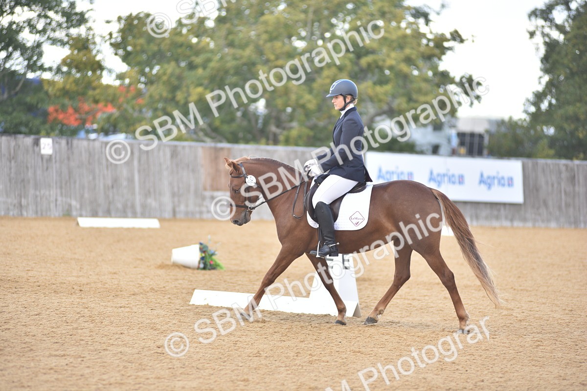 SBM_03044 - D4 - Small Tour Championship Intro 4