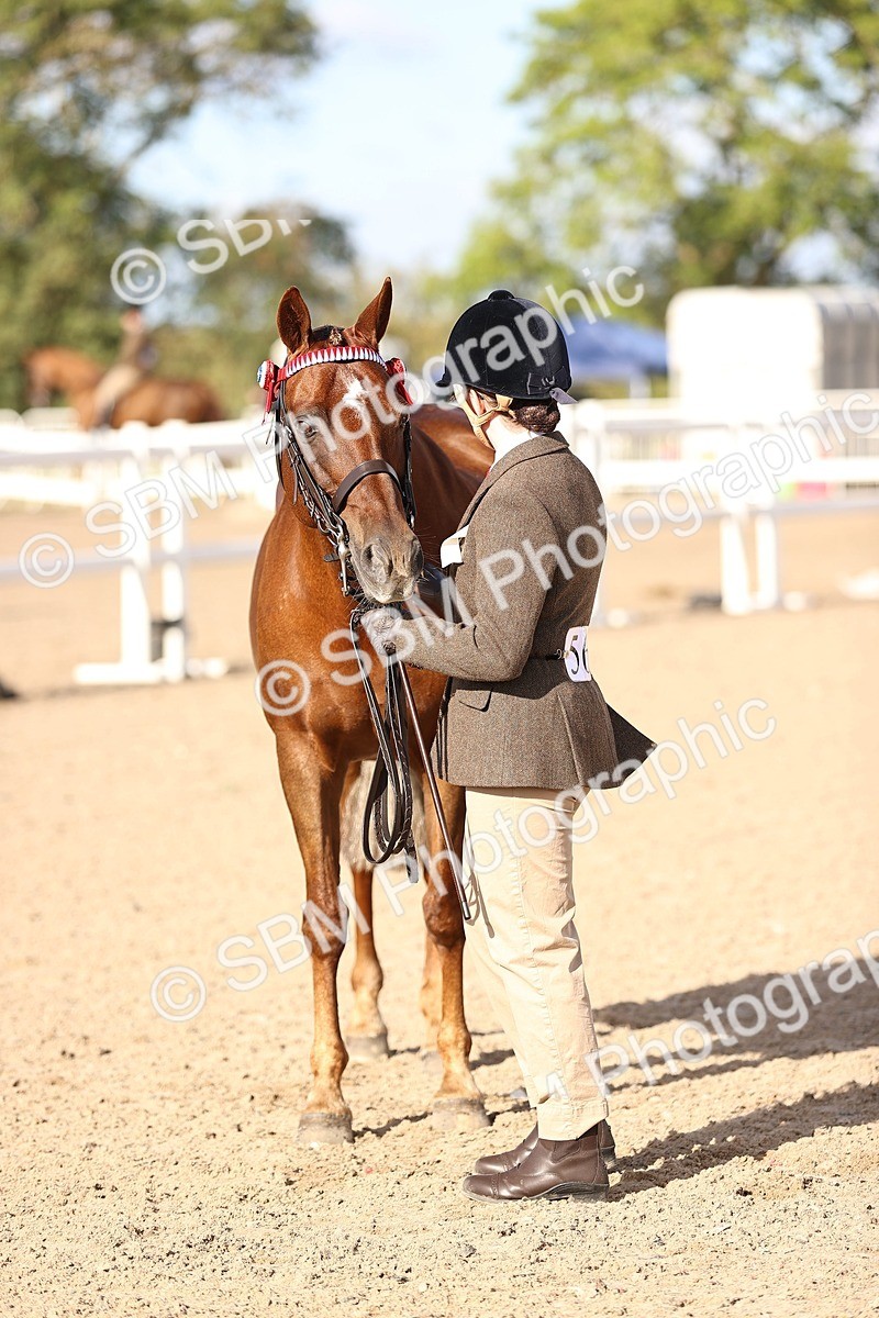 SBM_08532 - Class 402 - IH Veteran Pony