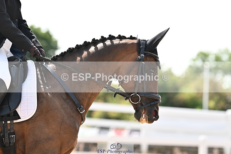 250815-132134-01435 - 005-Patricia.HaskinsGaelic.Surprise