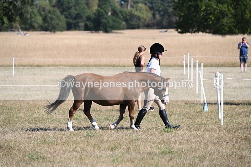 WJ6_7410 - Class 34 Judges Choice