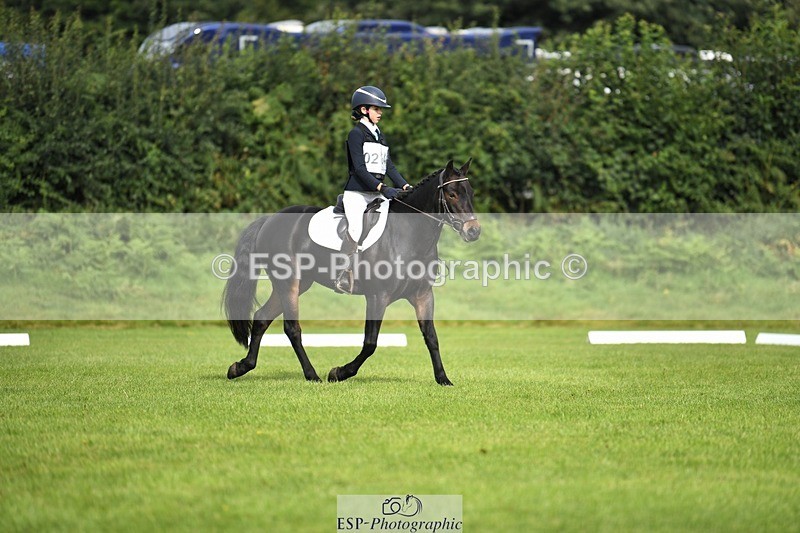 230826-095931-15310 - Sections C & D 9 to 10am