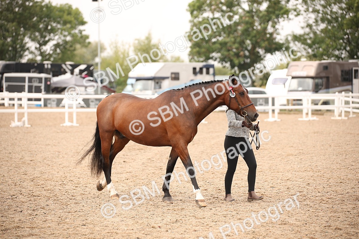 SBM_22091 - Class 707 - Ridden Groom-Helpers Class