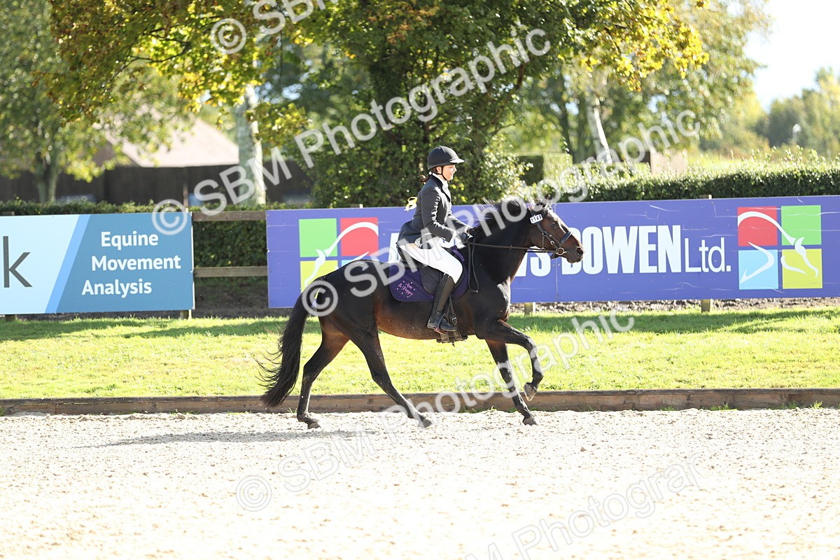 SBM_37400 - J20 - Junior Horse 50cm Championship