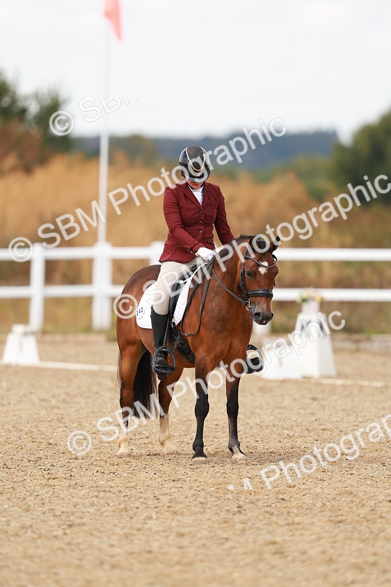 SBM_018659 - Class 9 - N5 Bronze 11.57.13.07
