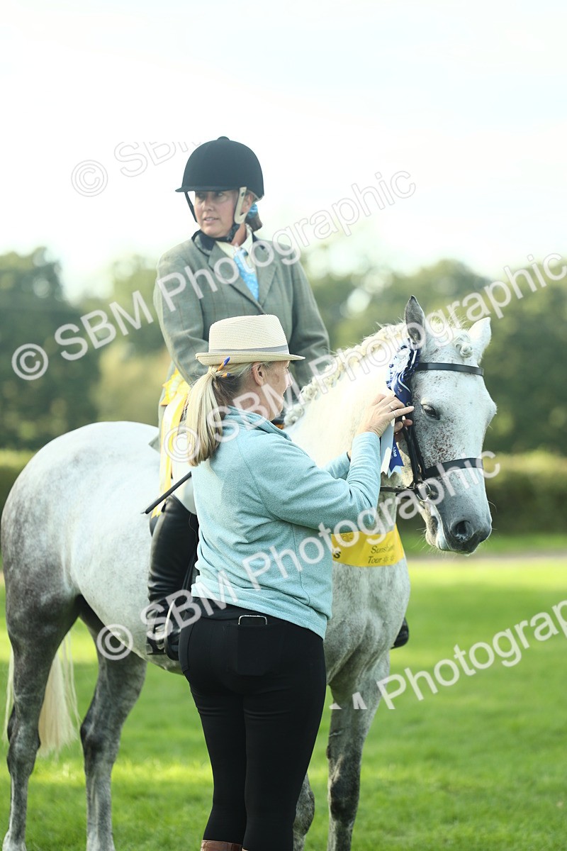 SBM_52301 - Working Hunter Supreme Championship