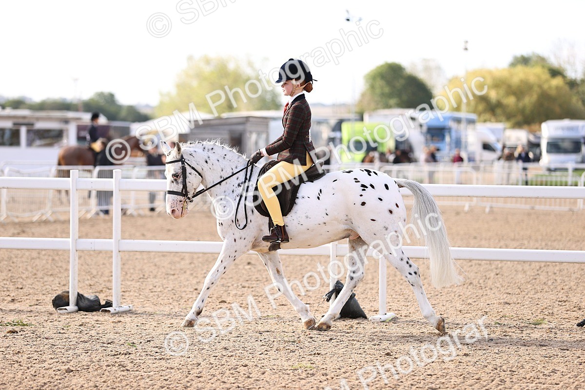 SBM_09027 - Class 403 - Grassroots Ridden - Junior