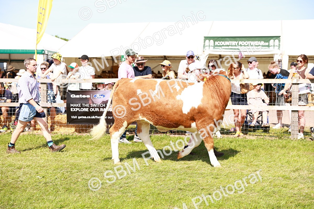 SBM_08361 - Grand Parade