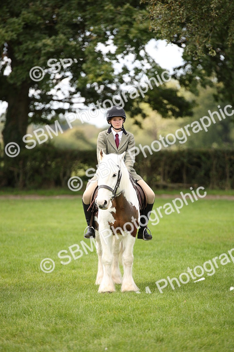 SBM_42355 - S13 - Pony Club Pony