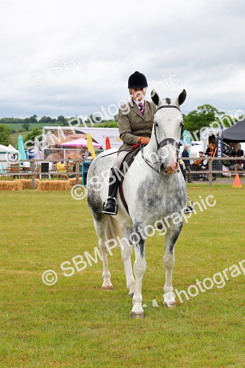 SBM_02663 - Class 9-11 Side Saddle including LIHS Rising Star Ladies Show Horse